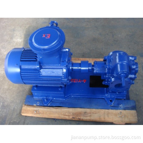 Stainless Steel Gear Pump